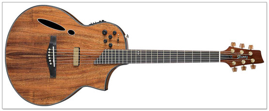 Ibanez Montage